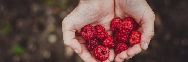 Homemade Raspberry Face Mask Recipes for Youthful Skin